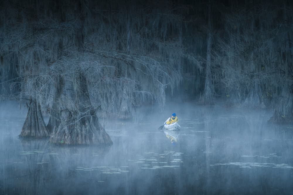 Misty Cypress Kayak by Willa Wei — canvas wall art