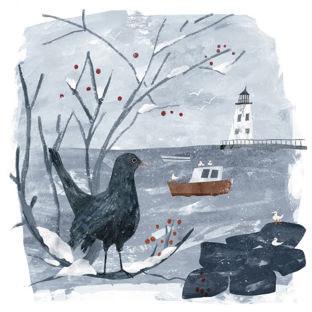 Winter Blackbird Lighthouse by Claire Hanley — canvas wall art