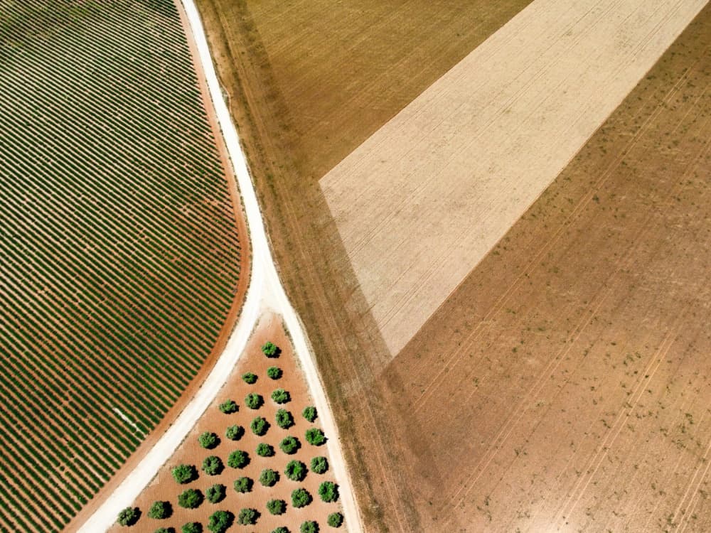 Abstract Farm Fields by Primož Kožuh — canvas wall art