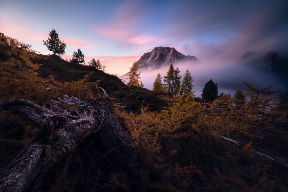 Misty Mountain Sunset by Marian Kuric QEP — canvas wall art