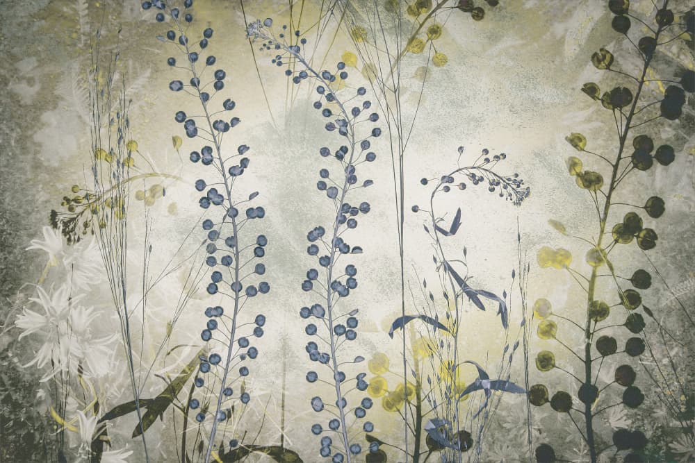 Fantasy by Nel Talen — canvas wall art