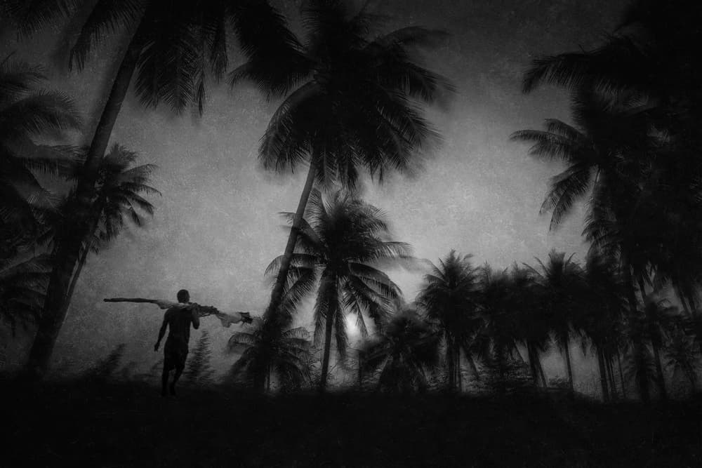 Tropical Journey Silhouette by Ekkachai Khemkum — canvas wall art