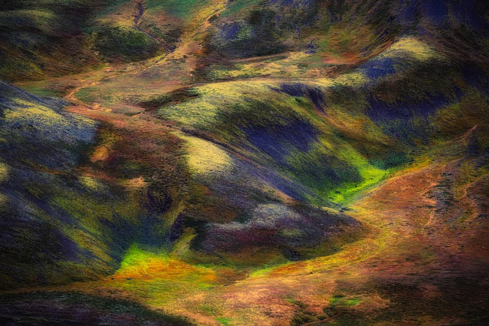 Vibrant Earth Patterns by swapnil deshpande — canvas wall art