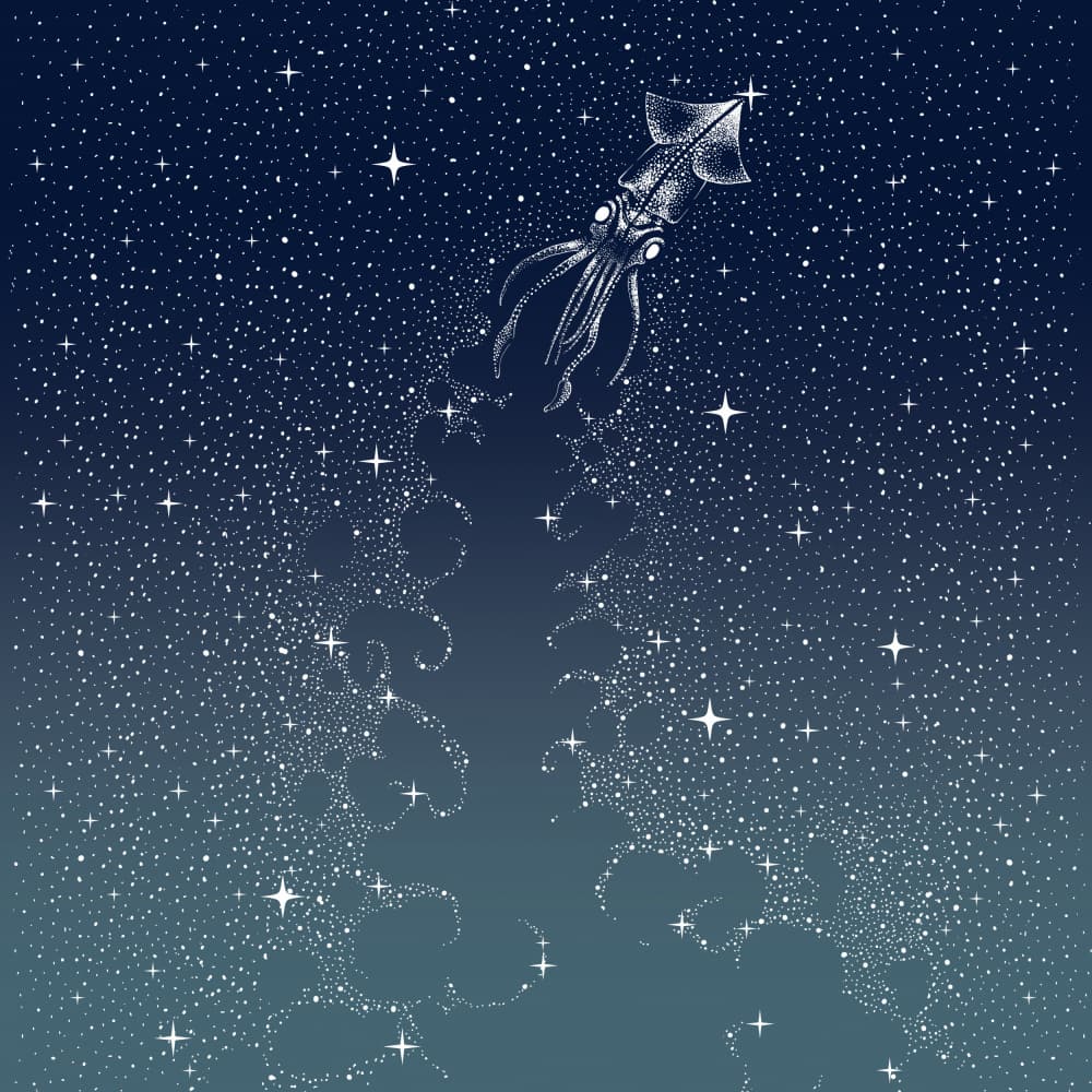 Celestial Squid Flight by Alirıza ÇAKIR — canvas wall art
