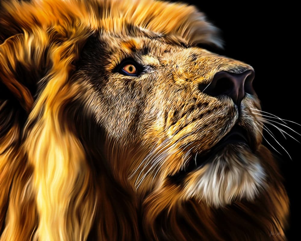 Golden Mane Lion by Lord Amihere — canvas wall art