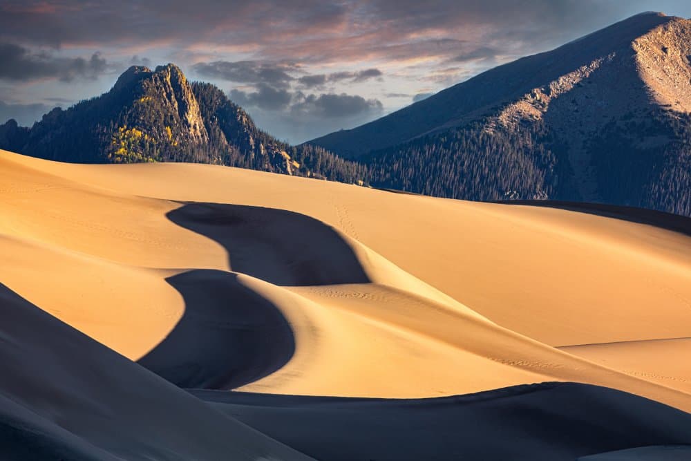 Golden Sand Dunes Mountains by Siyu_Wei APA — canvas wall art