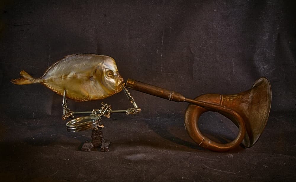 Surreal Fish Horn by Brig Barkow — canvas wall art