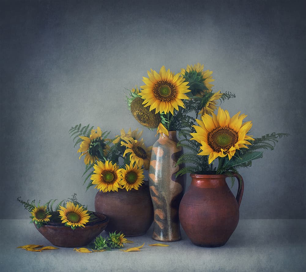 Autumn Sunflowers In Pottery by Dimitar Lazarov - Dim — canvas wall art
