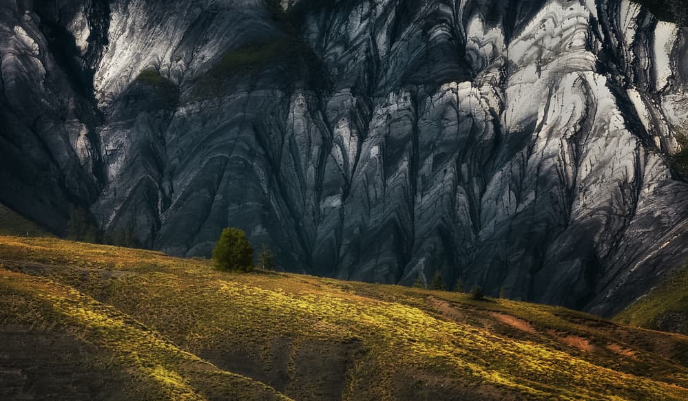 Folded Mountains And Lone Tree by Uschi Hermann — canvas wall art