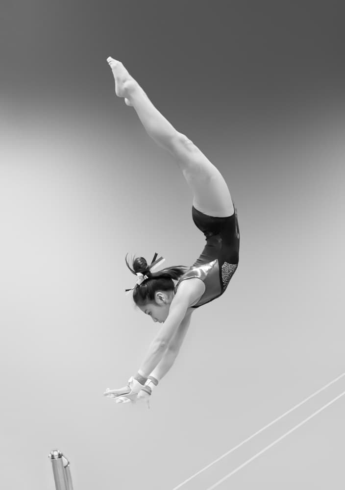 Flying by Rob Li — canvas wall art