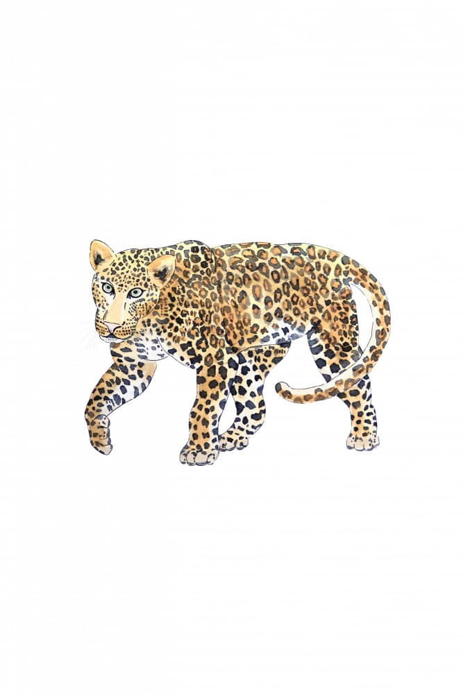 Elegant Walking Leopard by Karen Menzenbach — canvas wall art