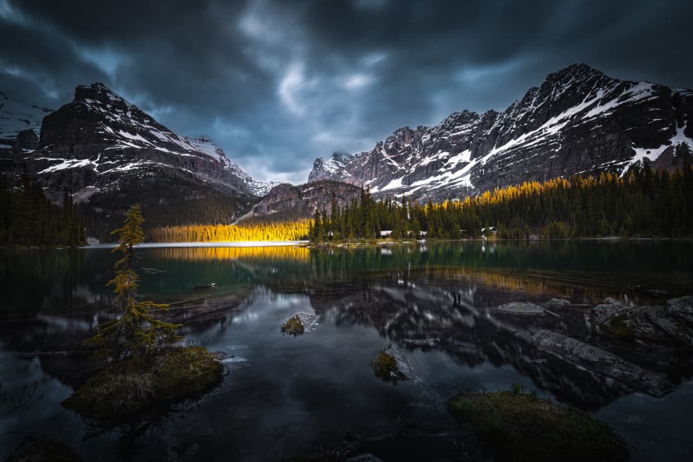Sunlit Golden Mountain Lake by Bing Li — canvas wall art