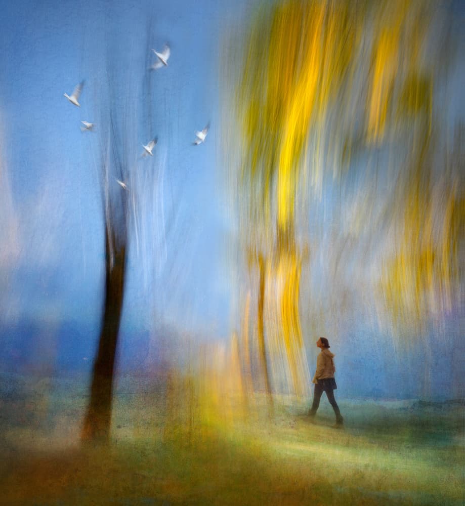 Dreamy Autumn Walk by Shenshen Dou — canvas wall art