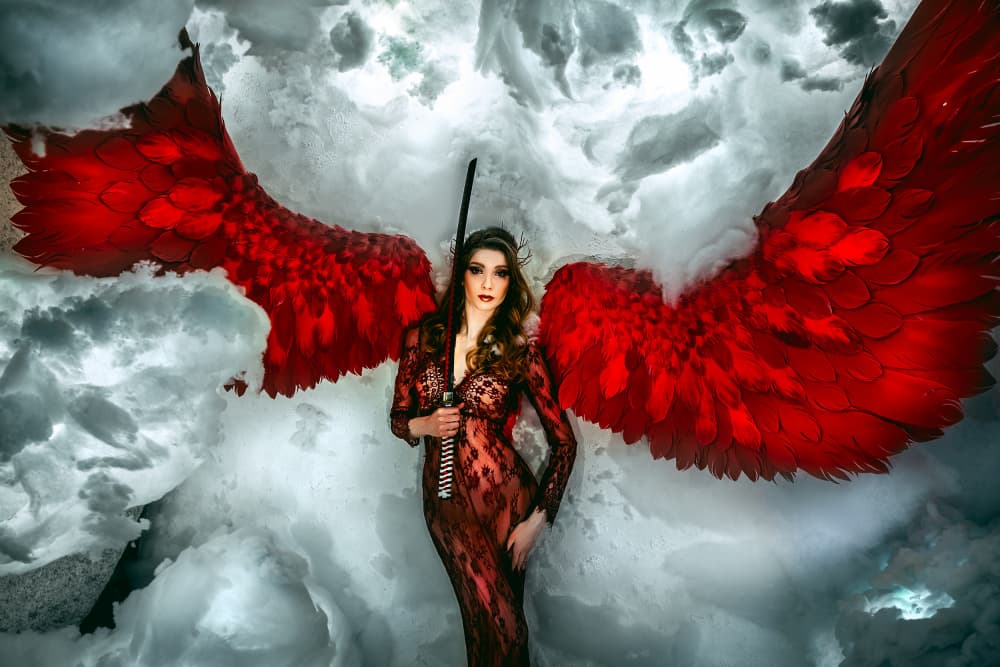 Red Winged Warrior by Ruslan Bolgov — canvas wall art