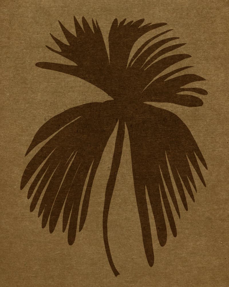 Dark Palm Frond by Josie George — canvas wall art