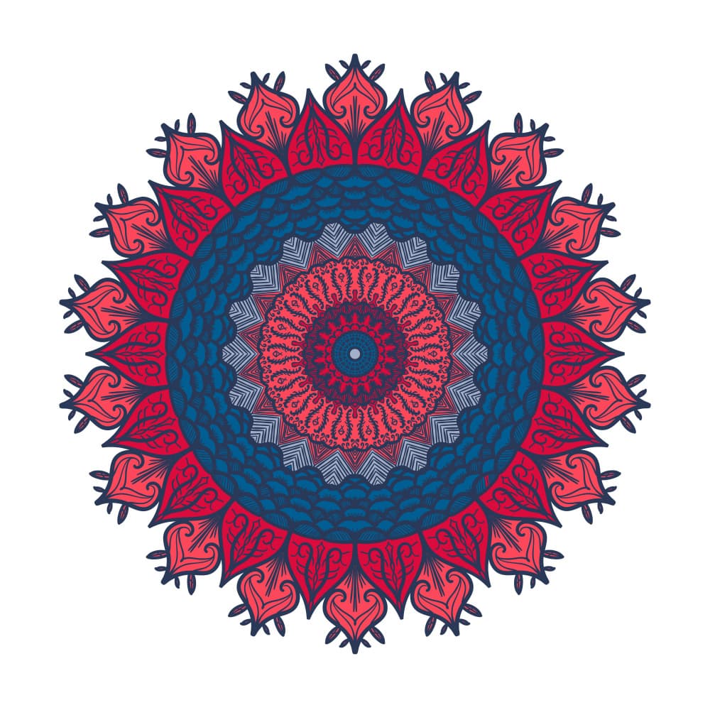 Red Blue Mandala Bloom by Marika Barsrsind β canvas wall art
