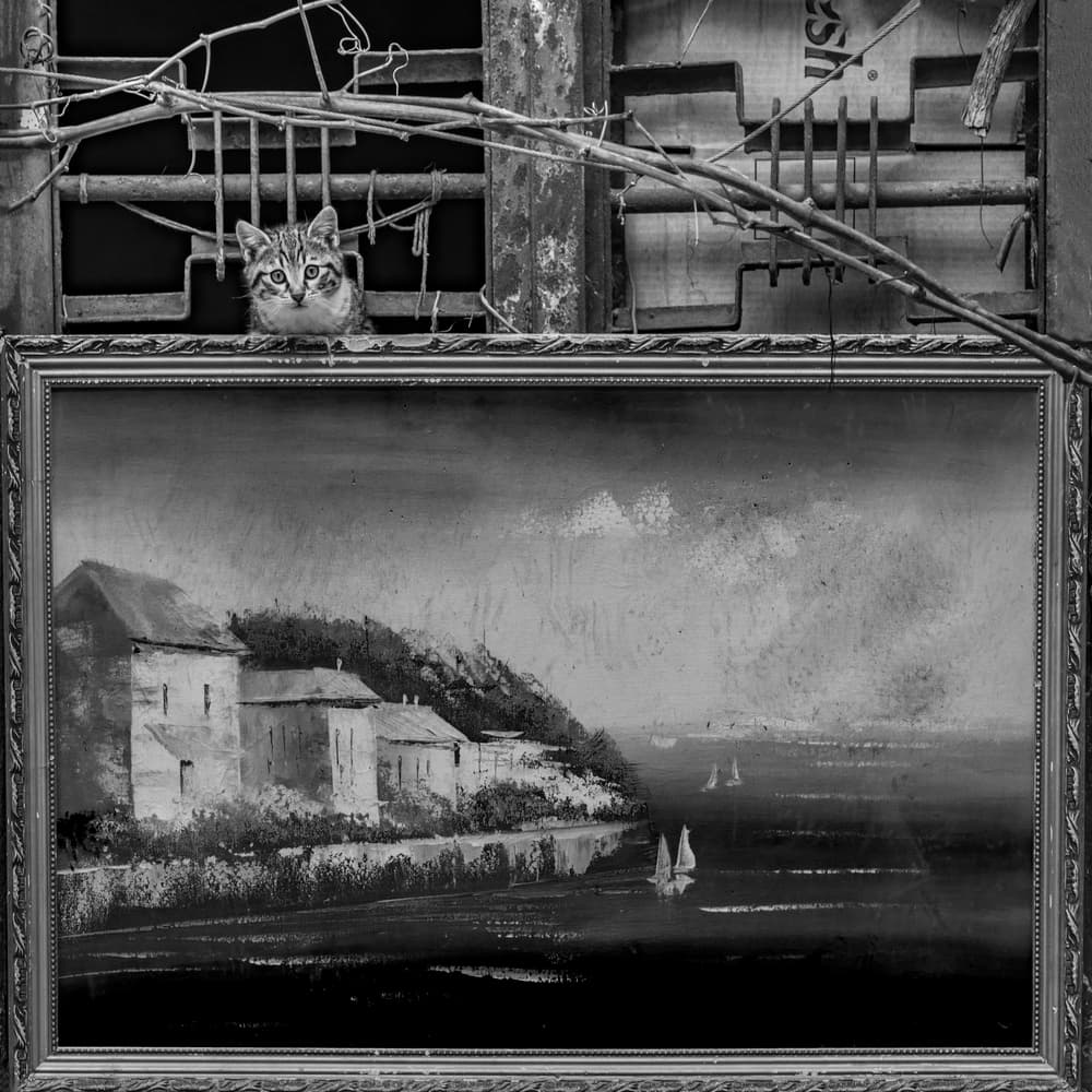 Cat Over Vintage Seascape by Ömer Ates Kızıltug — canvas wall art