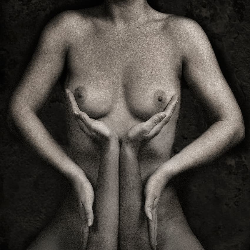 soft support by Jan Donckers — canvas wall art
