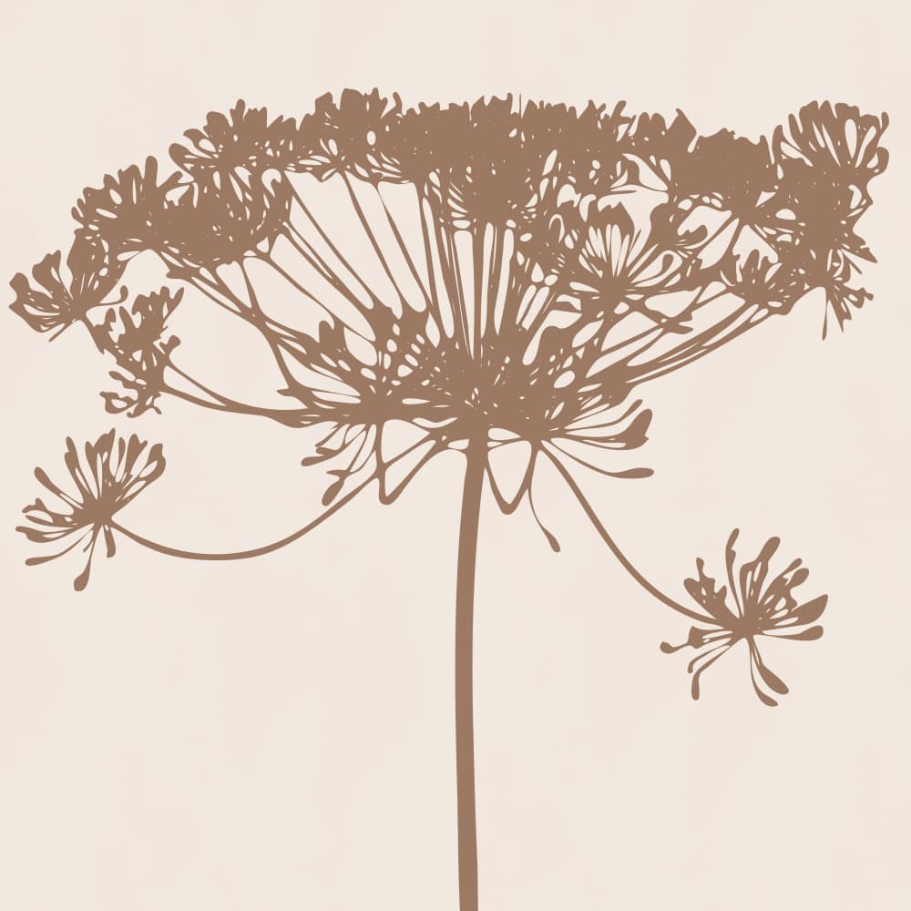 Delicate Botanical Silhouette by Dina Dankers — canvas wall art