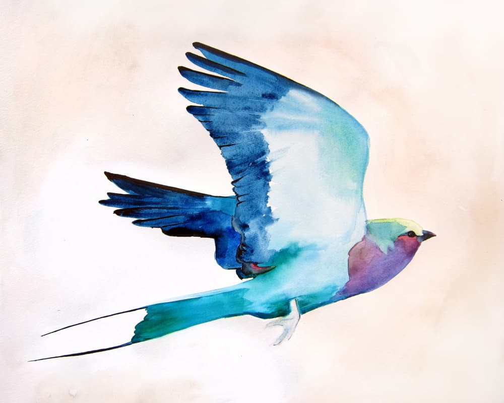 Vibrant Bird In Flight by Christine Lindstrom — canvas wall art