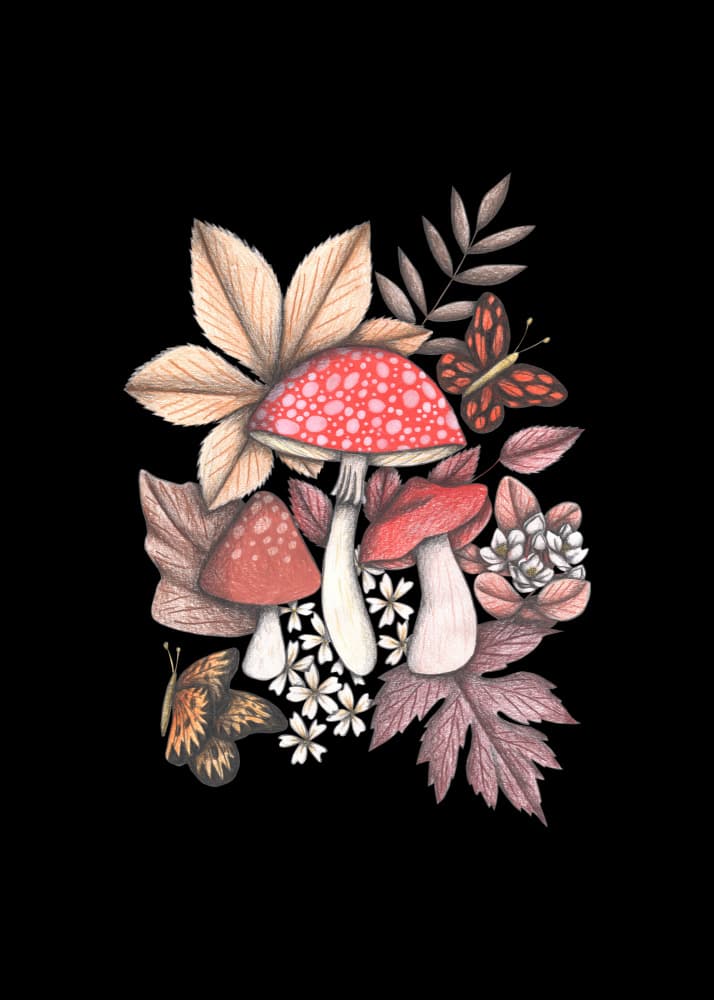 Whimsical Woodland Mushrooms by Cecilia Battaini — canvas wall art