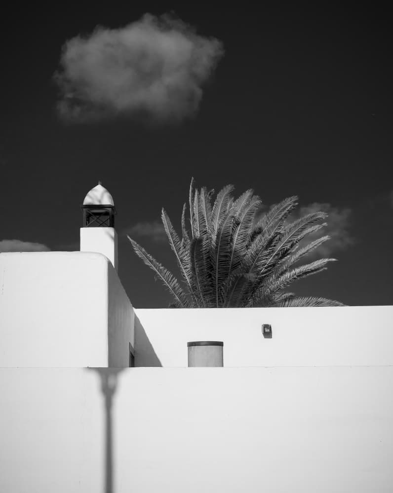 Monochrome Palm Architecture by Michael Bangiev — canvas wall art