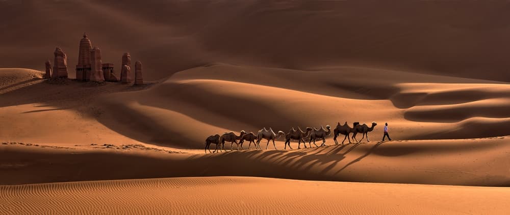 Desert Caravan Journey by Mei Xu — canvas wall art