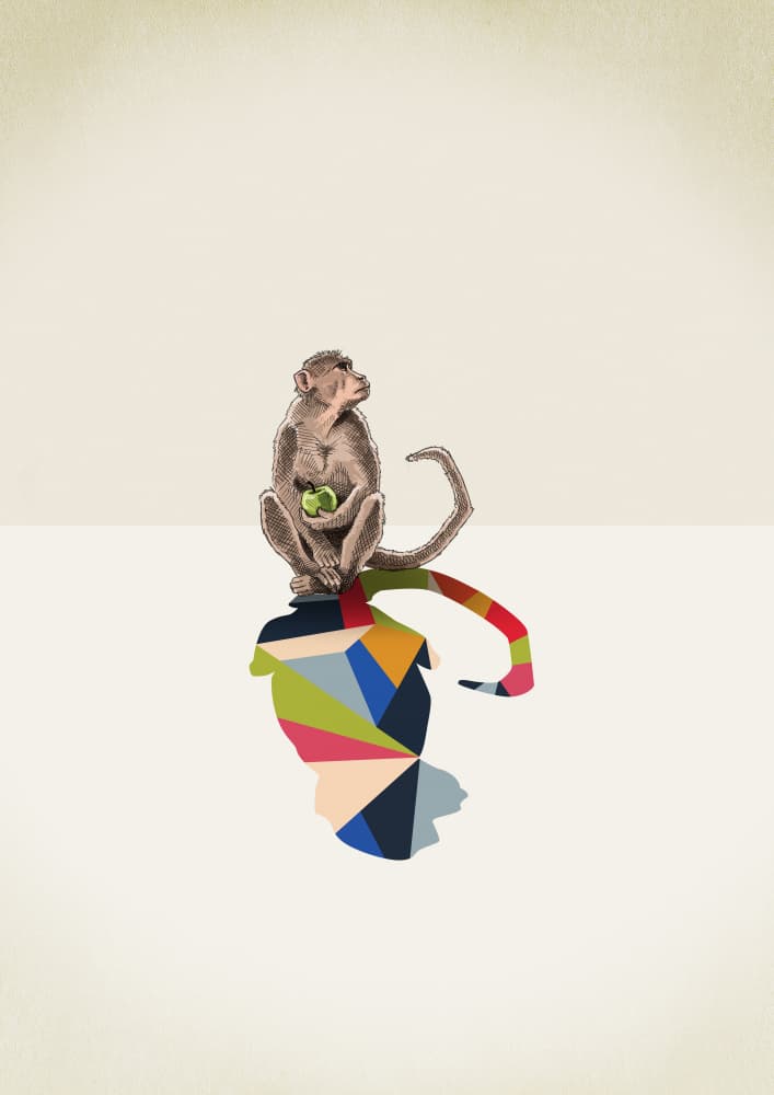 Thoughtful Monkey Reflection by Jason Ratliff — canvas wall art