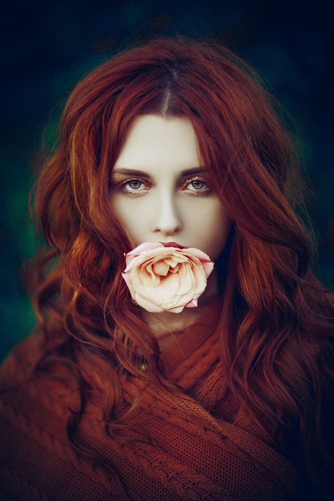 Silent Rose Beauty by Ruslan Bolgov — canvas wall art