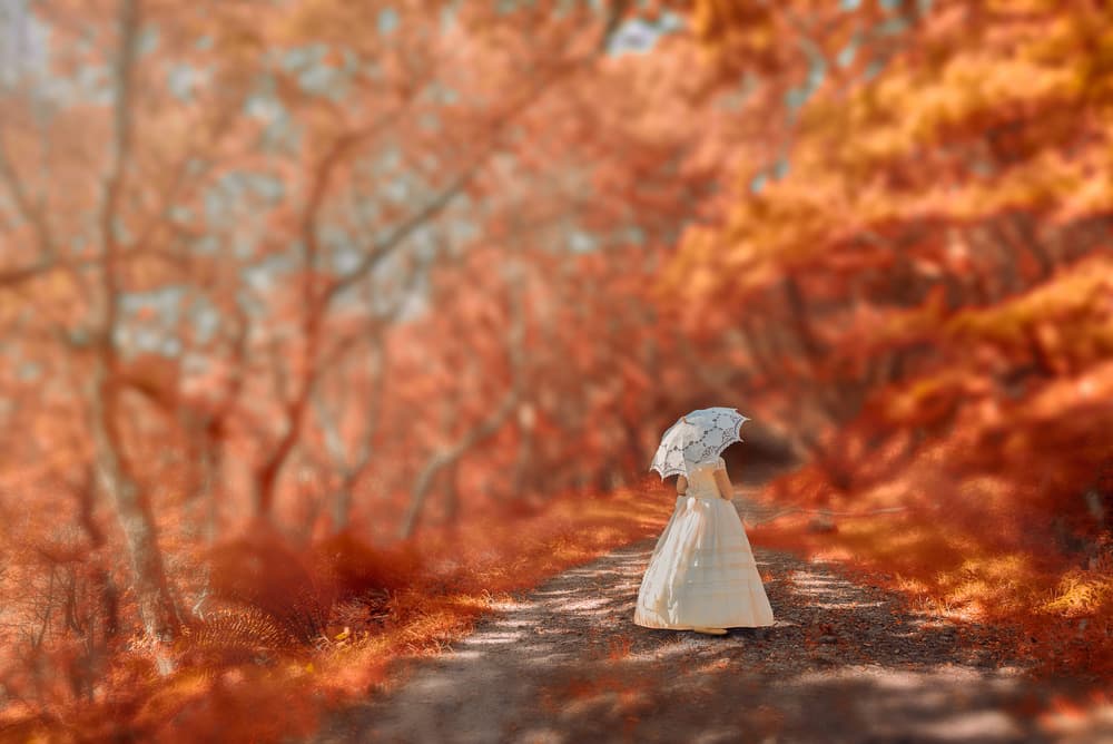 Woman on Autumn Path by Xavier Garci — canvas wall art