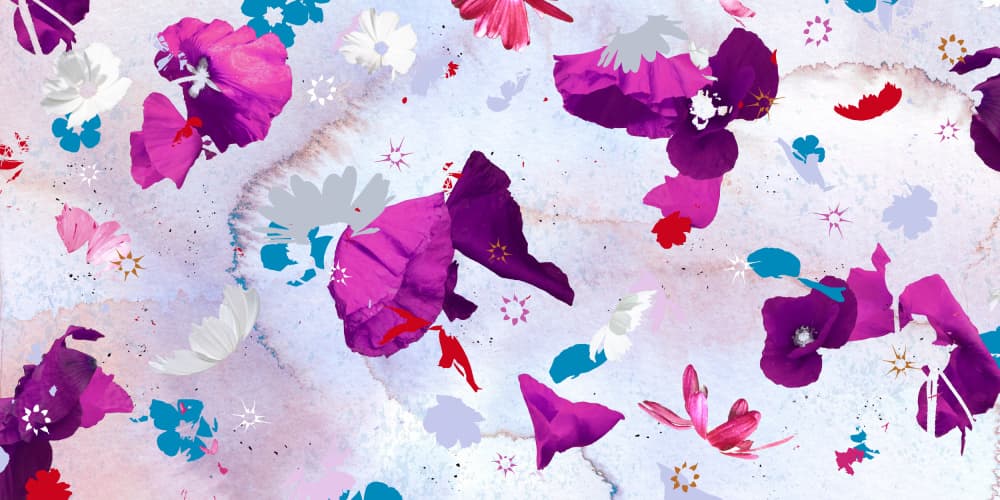 Dreamy Watercolor Petals by Miriam Stayte — canvas wall art