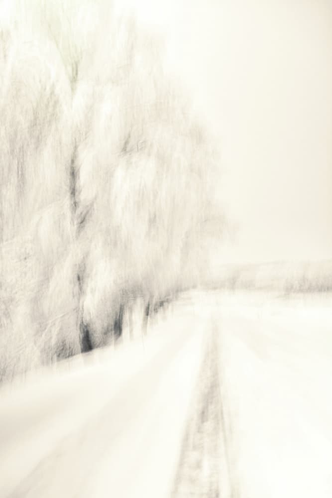 Dreamy Winter Path by Christina Sillen — canvas wall art