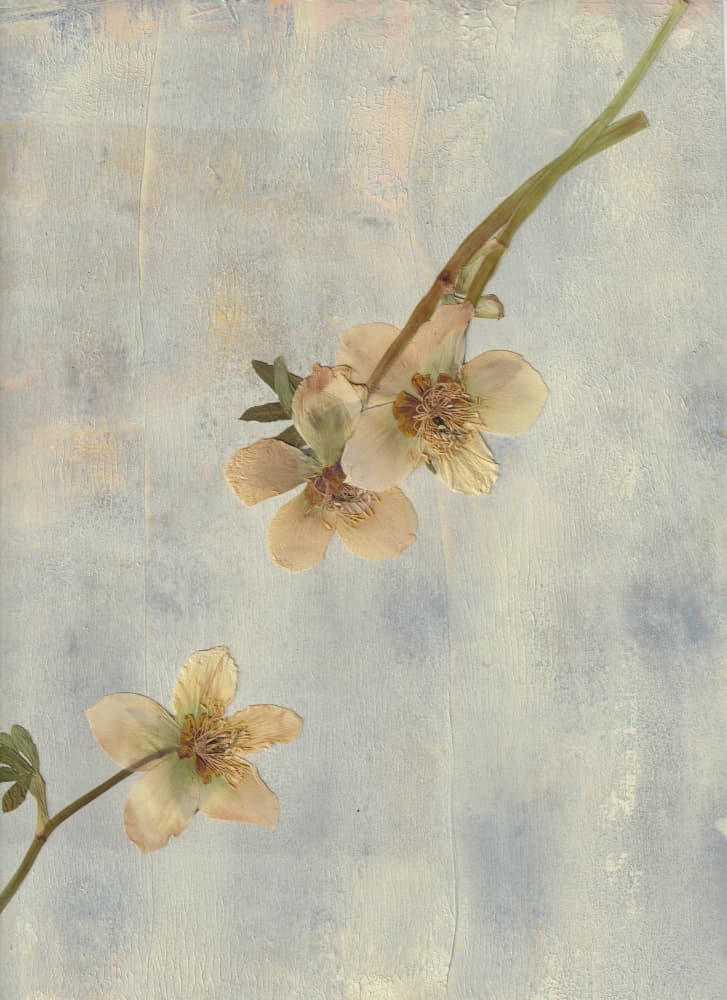 Pale Blue Botanicals by Maira Ribena — canvas wall art