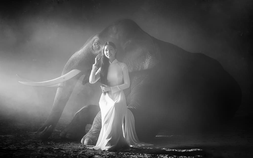 Ao Dai Elephant Serenity by Angela Muliani Hartojo — canvas wall art