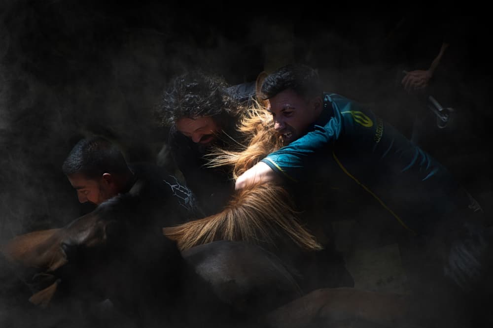 Intense Horse Taming by Santiago Pascual Buye — canvas wall art