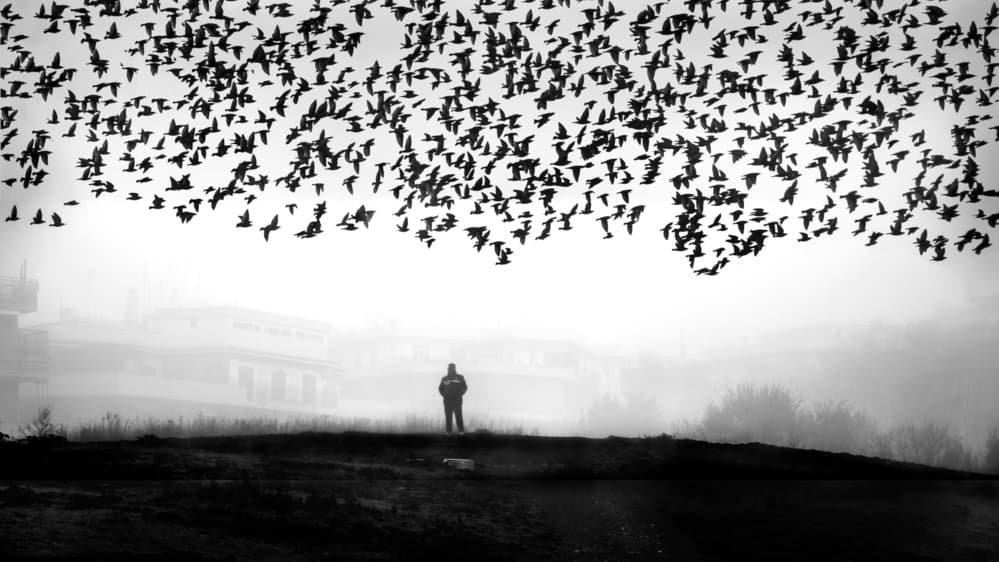 Lone Figure Vast Sky by Nicodemo Quaglia — canvas wall art