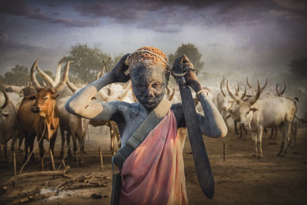 Tribal Warrior and Cattle by Svetlin Yosifov — canvas wall art