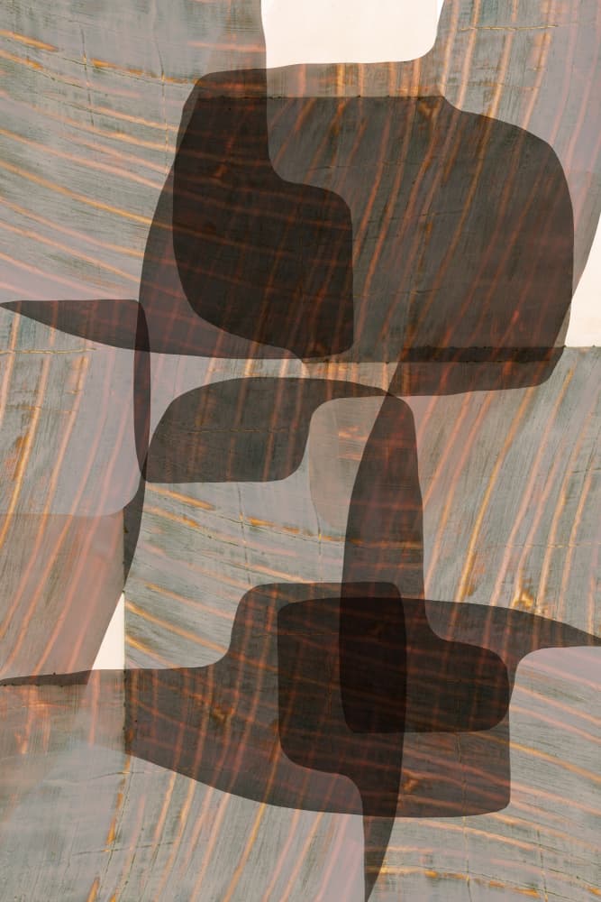 Muted Organic Forms by cartissi — canvas wall art