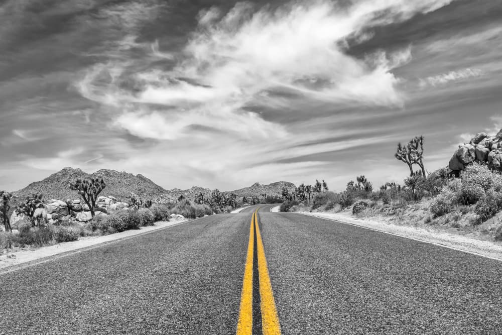 Open Desert Highway by Melanie Viola — canvas wall art
