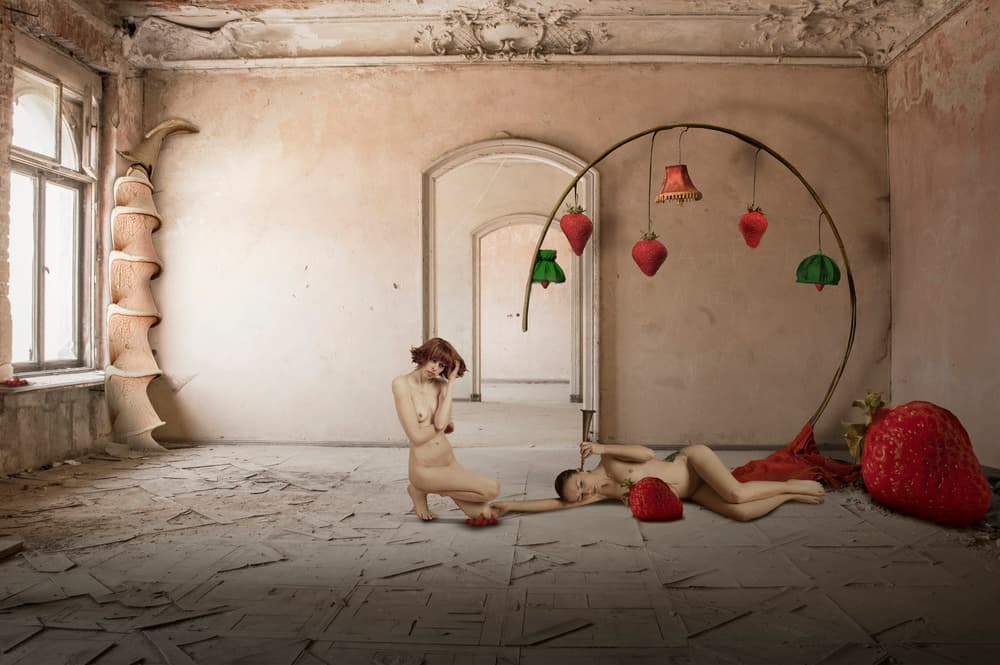 Surreal Strawberry Dream by Christine von Diepenbroek — canvas wall art
