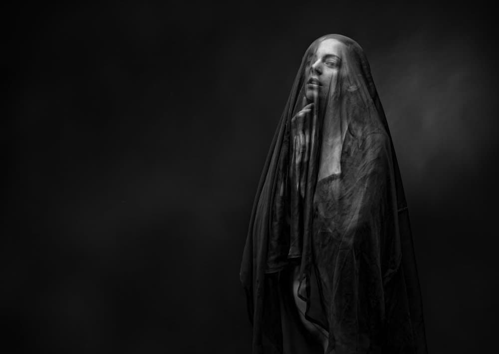 Mysterious Veiled Woman by Luc Stalmans — canvas wall art
