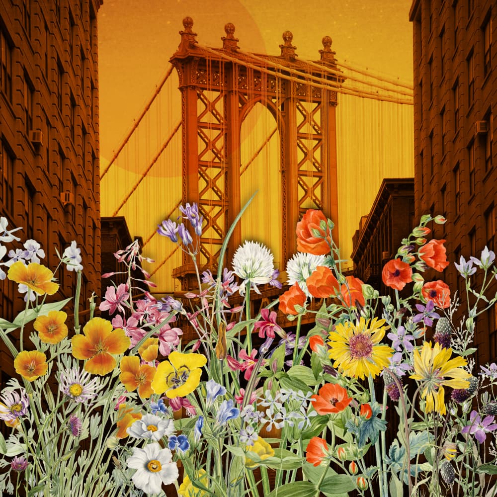 Manhattan Bridge Flowers by Marja van den Hurk — canvas wall art