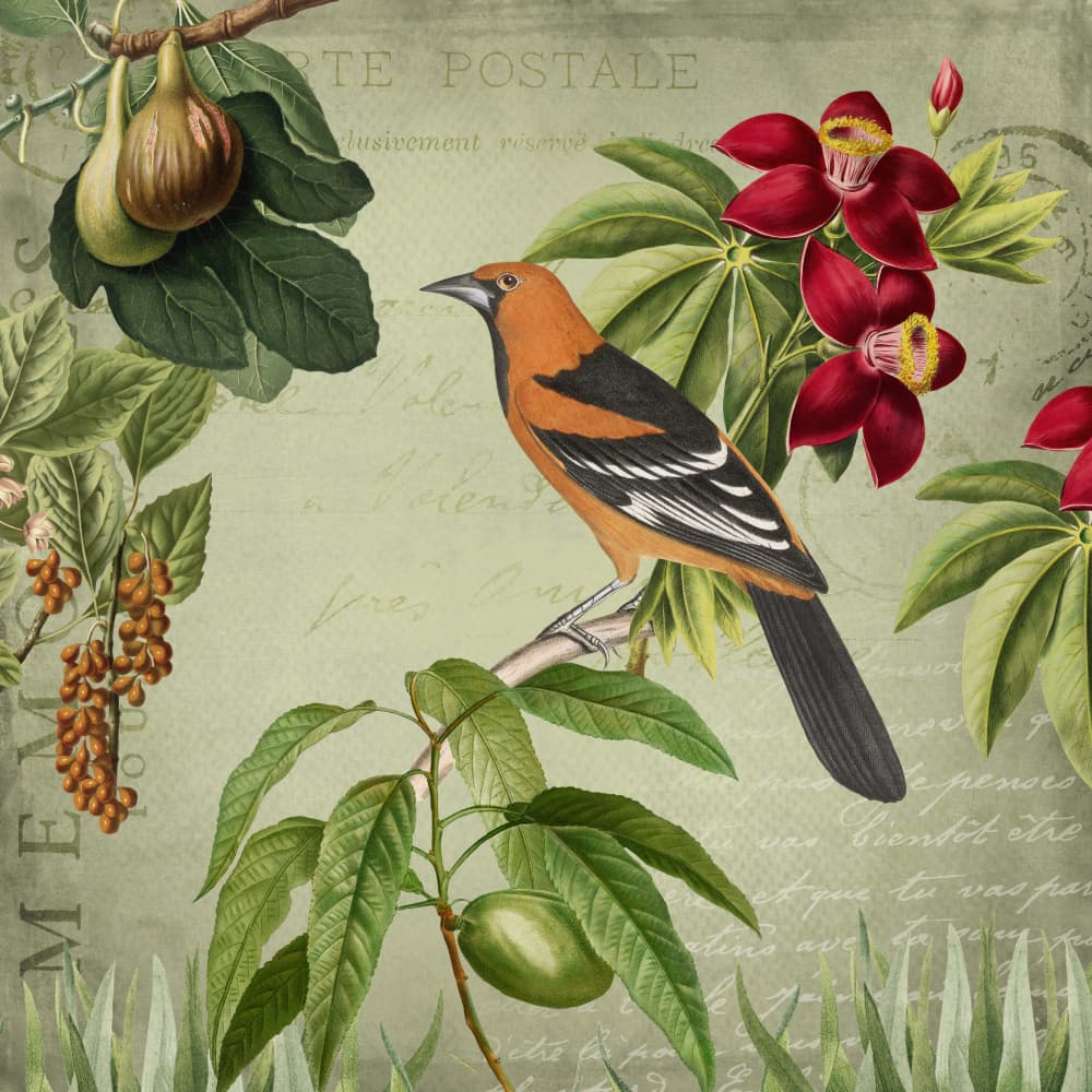 Tropical Bird Botanical Scene by Andrea Haase — canvas wall art