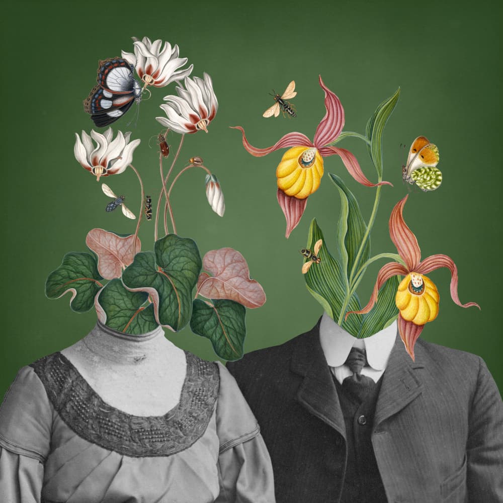 Vintage Botanical Dreams by Marja van den Hurk — canvas wall art