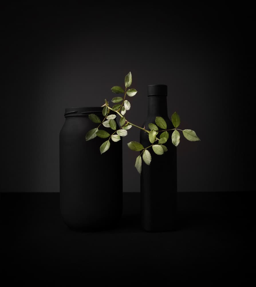 Black Objects Green Branch by Margareth Perfoncio — canvas wall art