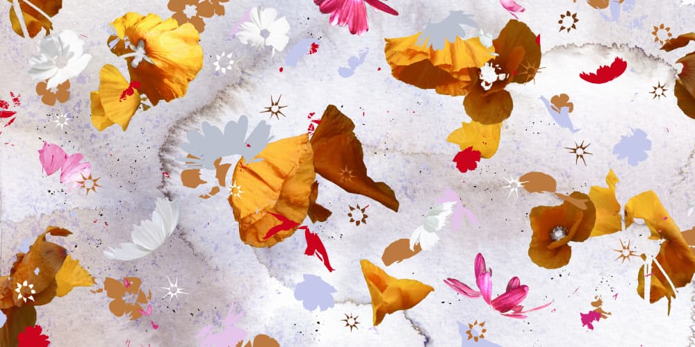 Falling Watercolor Petals by Miriam Stayte — canvas wall art