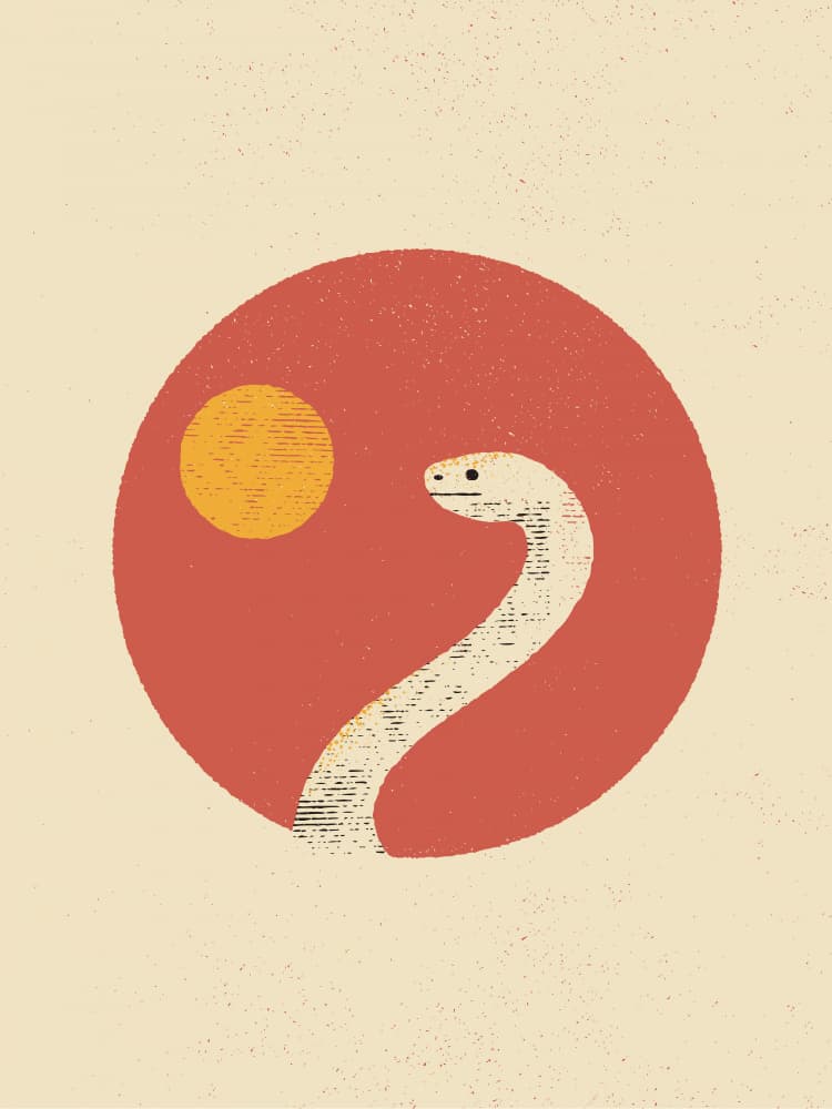 Desert Sun Snake by The Creating Mind — canvas wall art