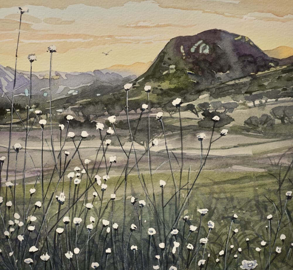 Golden Sky Wildflowers by Luisa Millicent — canvas wall art