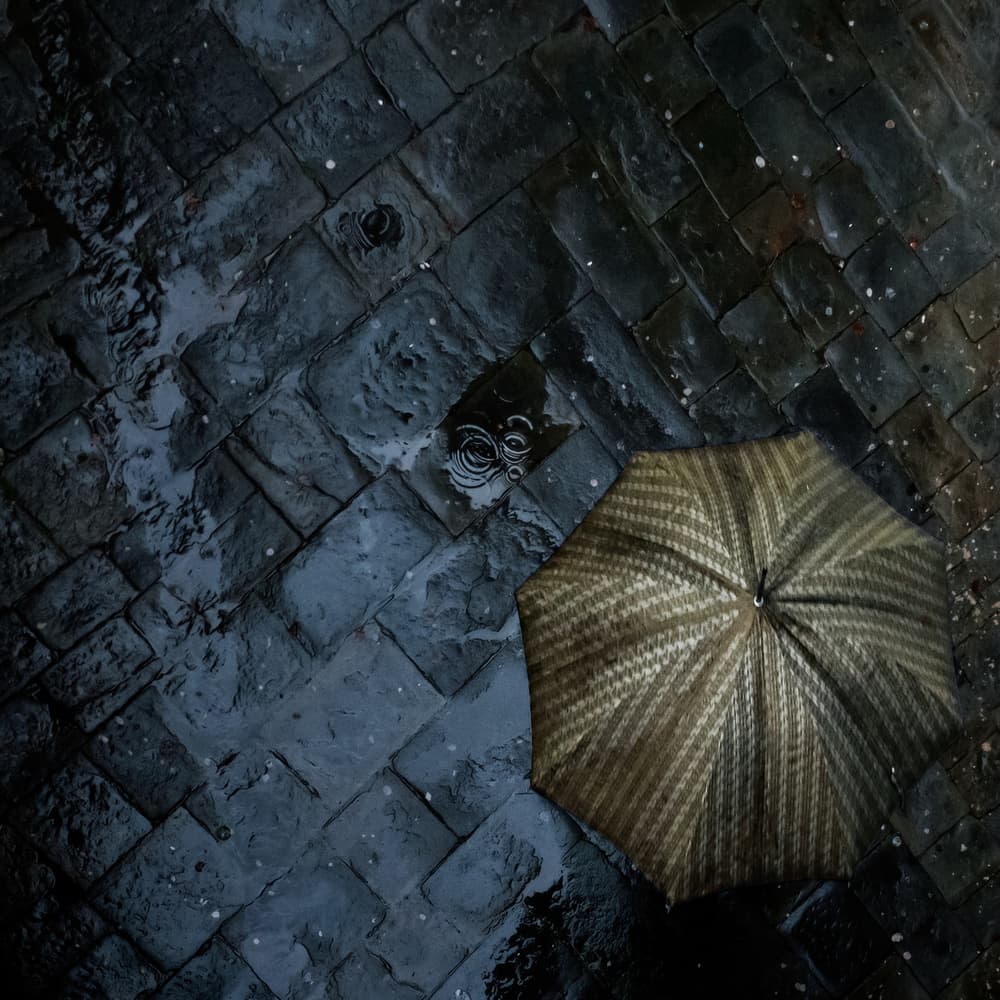 Umbrella In The Rain by Luca Domenichi — canvas wall art