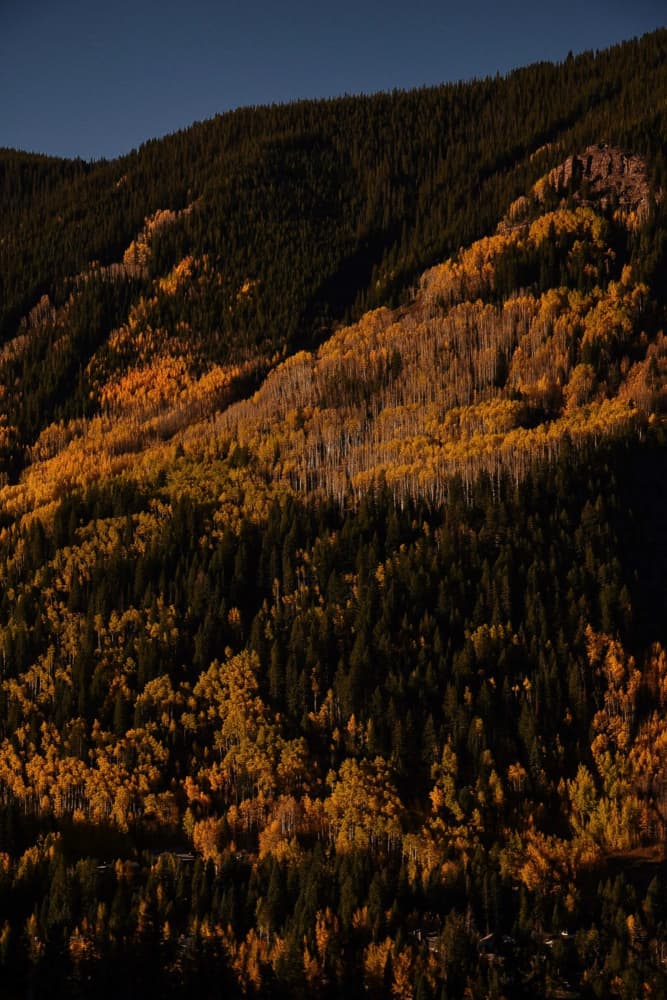 Golden Autumn Mountainside by Del Mundo Imagery — canvas wall art